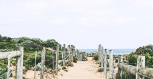 Southern-Western-Coast-of-Australia-Gap-Year