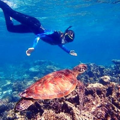 Great Barrier Reef Australian gap year Letz Live