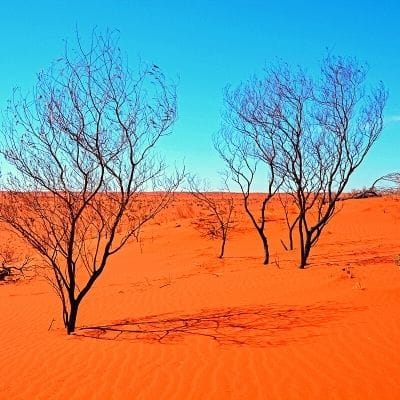 Outback NT Australian Gap Year