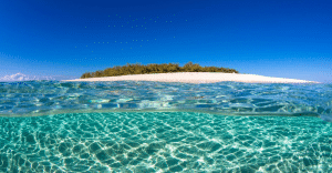 Australian Gap Year Experience with Letz Live