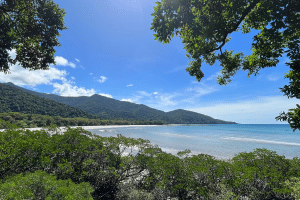 South Africa in Australia