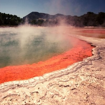 Rotorua New Zealand gap year Letz Live