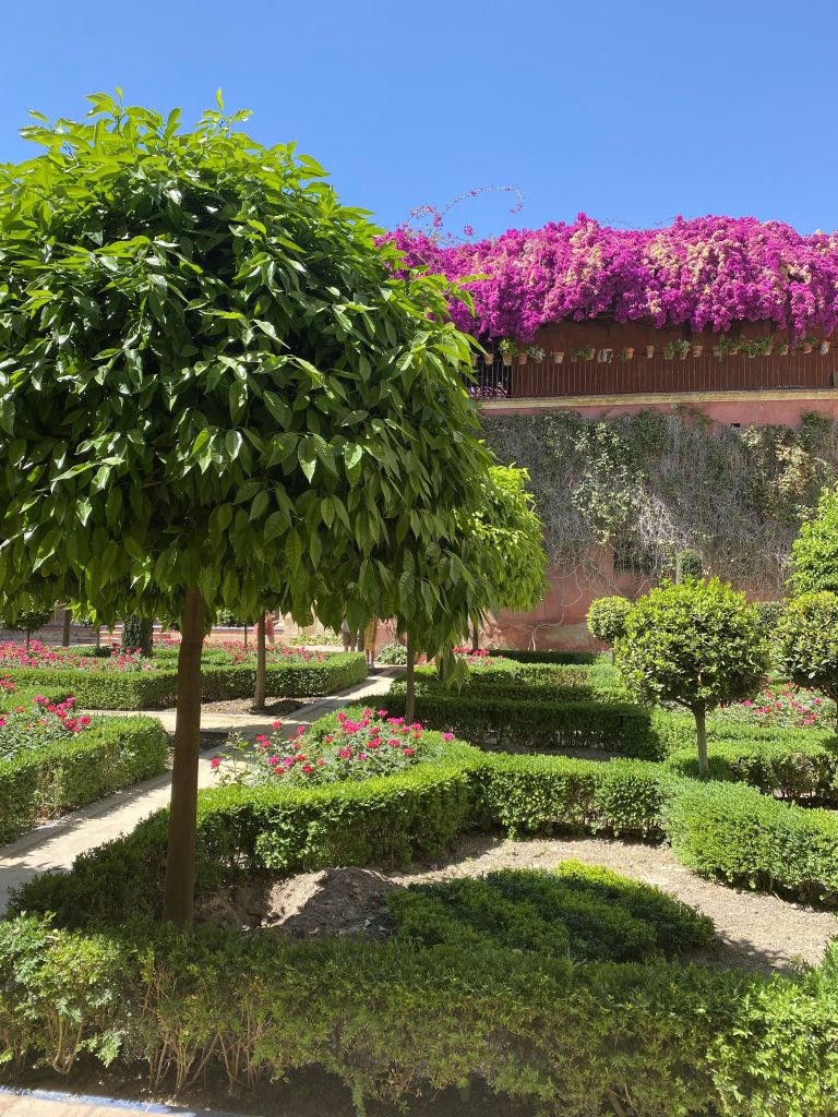 Sophie Clements UK Gap Year