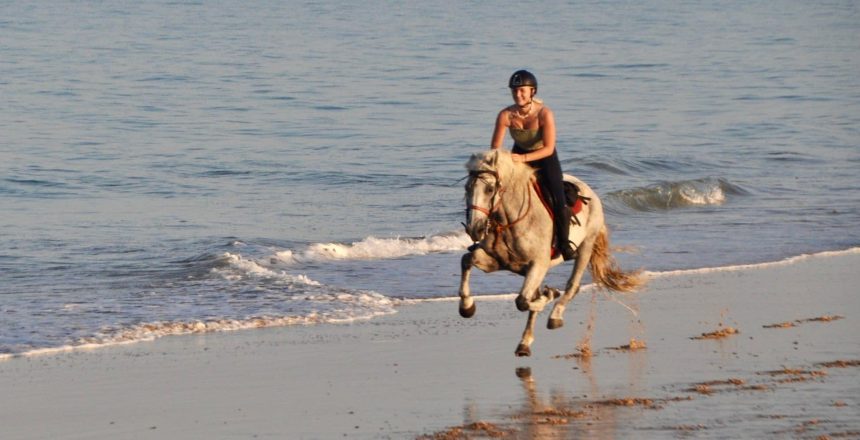 Horse riding in spain