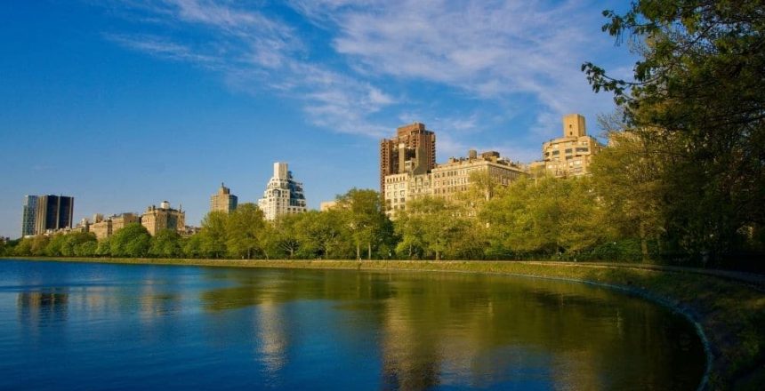 New York Park Letz Live USA gap year